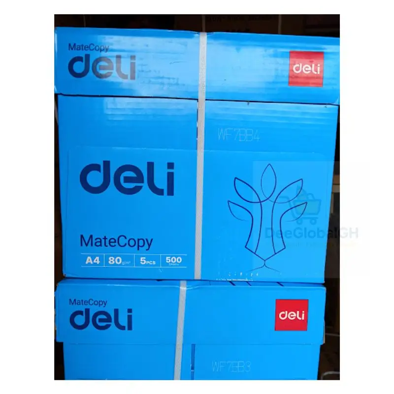 Deli MateCopy A4 Paper 80gsm – Carton (5 Reams / 2,500 Sheets)